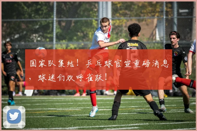 国家队集结！乒乓球官宣重磅消息，球迷们欢呼雀跃！