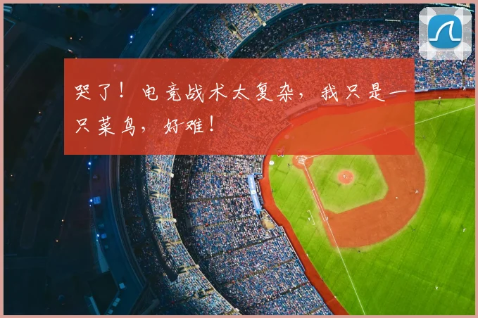 哭了！电竞战术太复杂，我只是一只菜鸟，好难！