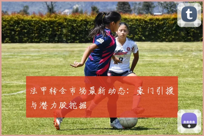 法甲转会市场最新动态：豪门引援与潜力股挖掘